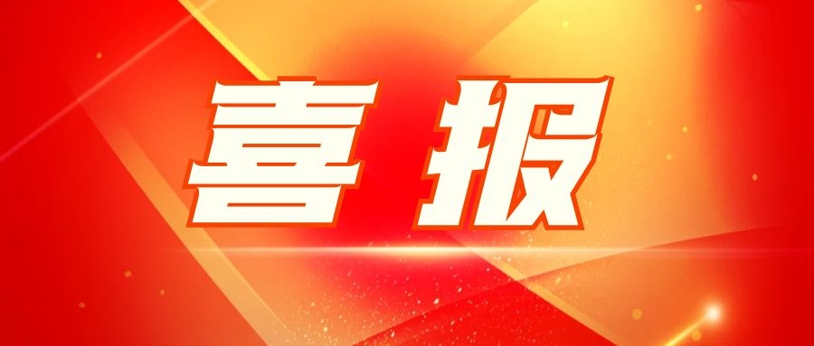 依頓電子：匠心品質創佳績 優質服務贏客戶 