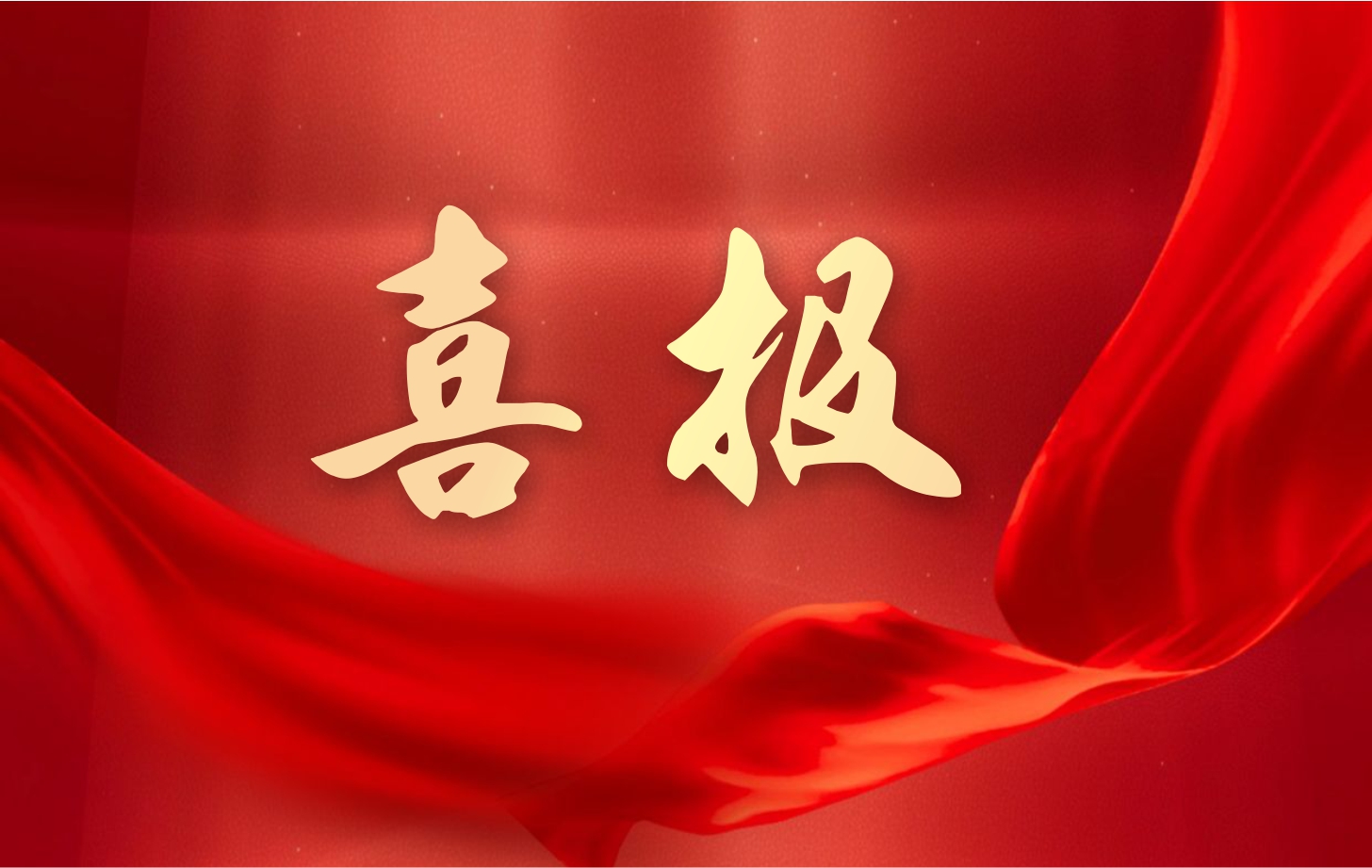 營收凈利雙增長！依頓電子2025年一季度經營業績續寫高質量發展華章